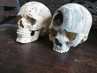 Grosse tête crâne sculpté à la main antique woodl 100% faits à la main à bali par spécial artisan