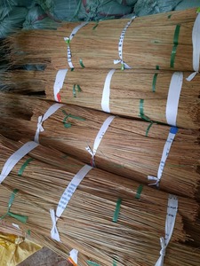 Best Quality Coconut <b>Broomstick</b> From Viet Nam (Lee Tran: +84987731263) - Product Image 3
