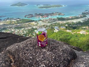 100% Pure Soursop Juice 330ML NAWON OEM Provider Free Sample Wholesale Price - Product Image 5