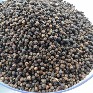 Offre Spéciale Poivre Noir Bio du Vietnam 600GL FAQ Poivre Entier Séché Vente en Gros Exportation Fournisseur d'Usine - Product Image 1