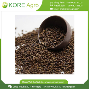 Graines de tora cassia 100% naturelles de haute qualité disponibles au prix de gros - Product Image 3