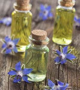 Huile de Borage Pressée à Froid, Huile Végétale de Base Liquide, Huile Essentielle 100% Pure et Naturelle, Liquide Jaune Clair, Certifiée GMP - Product Image 5