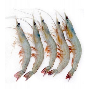 แช่แข็งทั้งVannameiกุ้งขาว - Product Image 1