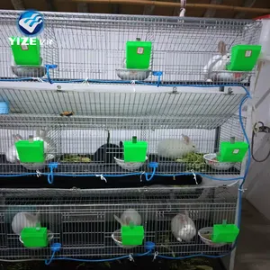 2022 new product rabbit cage with automatic drinking system hot selling in Cameroon