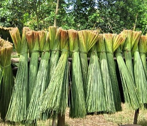 หญ้าดื่มฟางเป็นมิตรกับสิ่งแวดล้อม - Product Image 5