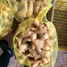 Nueva Cosecha de Raíz de Jengibre Orgánico de Alta Calidad, Secado al Aire, 10 kg, Grado Alimenticio para Exportación - Suministro al por Mayor - Product Image 6