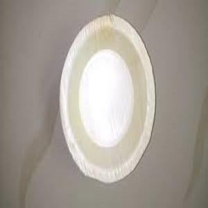 Vajilla desechable puramente natural Premium ecológica Areca hoja de palma platos grabados diseño de plantas para fiestas - Product Image 6