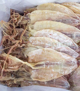 Calamar Negro Seco a Granel, Recién Llegado, a Precio Económico 2022/// ALTA CALIDAD // SOLO PARA EXPORTACIÓN // Sra. Jennie - Product Image 2