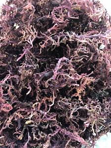 MUSGO DE MAR PÚRPURA/MUSGO DE MAR DE GRACILARIA SECA/IRISMO DE VIETNAM-ALTA CALIDAD - Product Image 4