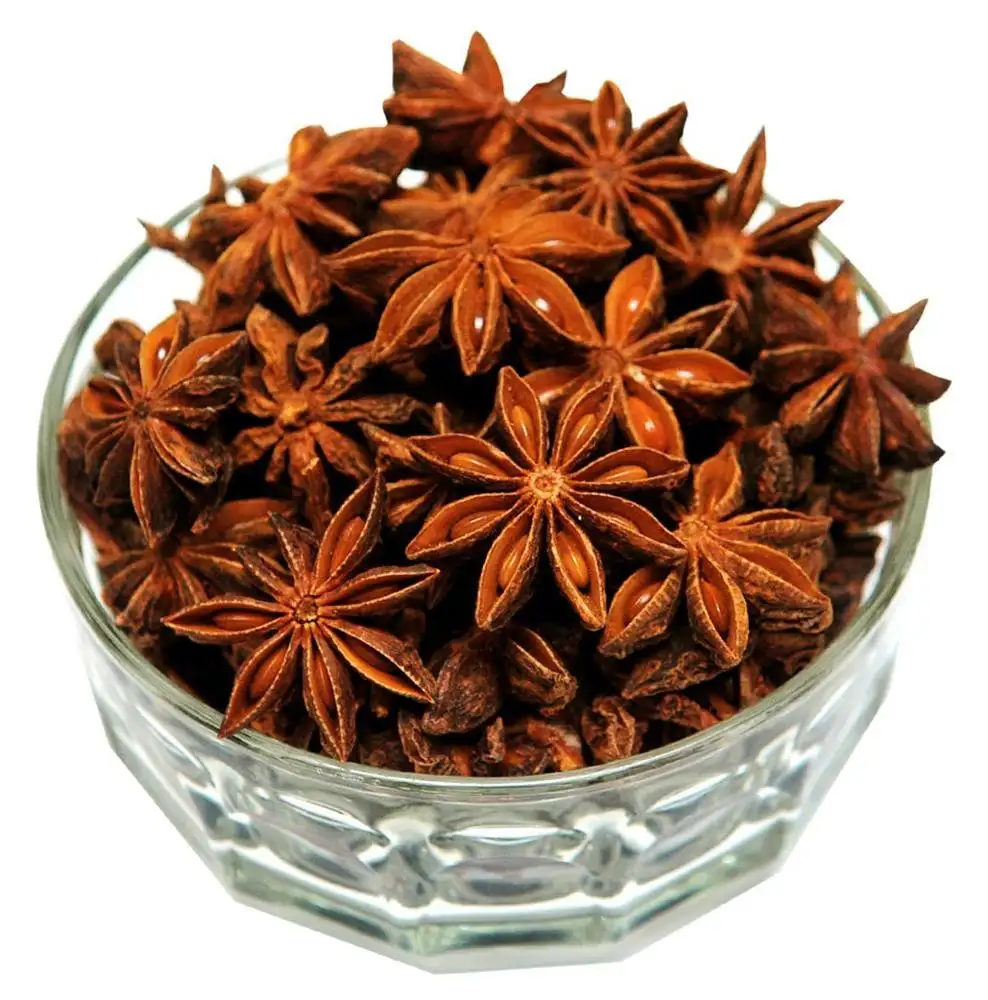 Viet Nam star anise spice /illicium verum from deep forest - Whatsapp: +84-845-639-639