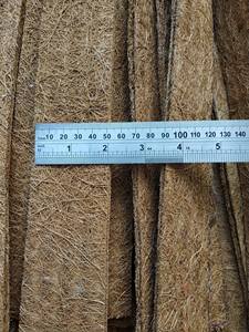 CINTA COIR DE VIET NAM Sra Sophie - Product Image 4