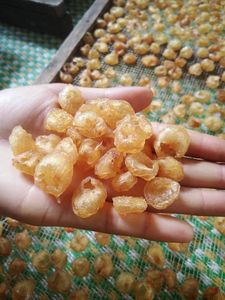 ผลิตภัณฑ์ร้อนอบแห้งลำไยจากเวียดนาม/+ 84 896611913 - Product Image 5