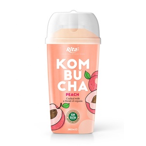 Giá Rẻ Giá Việt Nam Nhà Cung Cấp 360Ml Chai Pet Oolong Hương Vị Kombucha Trà Đồ Uống Trà Đá Pet Màu Xanh Lá Cây Trà Đào Chanh Vv - Product Image 2
