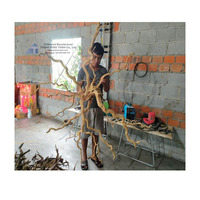Vente en gros Aquarium en bois flotté naturel Aquarium Fish Tank du Vietnam