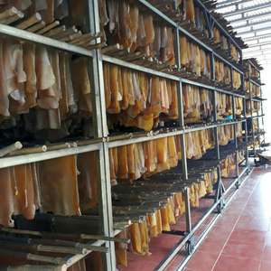 Feuilles de caoutchouc smockées vietnamiennes, 18 pièces, en caoutchouc rss1-sk15 - Product Image 3