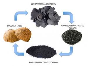 BIO CHAR ORGANIC APPLICATION COCONUT SHELL CHARCOAL FOR CHARCOAL CARBON ACTIVATED FOR WATER FILTER BEST IN Essen GERMANY - Product Image 2
