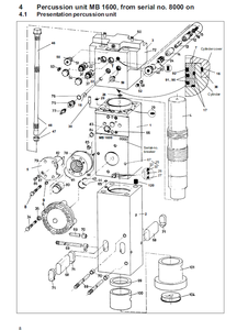 Rompevientos, arbusto, 3363069371 - Product Image 4