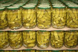 Good Price Pickled Cucumber Pickled Gherkins Cucumber <b>Canned</b> <b>Canned</b> Food <b>Canned</b> <b>Vegetables</b> - Product Image 3