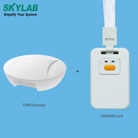 Kit de développement de positionnement intérieur intelligent IoT UWB longue distance SKYLAB Other Communication