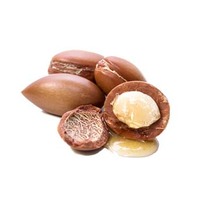 Huile de support d'argan marocaine pressée à froid, certifiée GMP, en forme liquide, extraite des graines