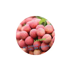 FRUITS frais litchi du Vietnam avec exportation de haute qualité pour les états-unis et le marché japonais-WS: m. Lucas + 84396510330