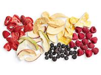 Professionele Leverancier Voor Fruit Droger Hoge Kwaliteit Gedroogd Fruit Productielijn