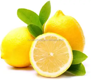 Lemon Dalam Jumlah Besar dari Mesir dengan Harga Terbaik