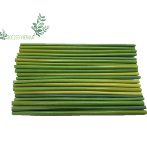 Vietnamese Wholesale Grass Straws Drinking Set with High Quality and Good Price From Eco2go Vietnam - Product Image 2