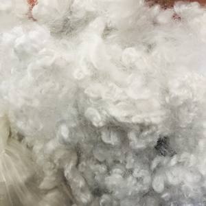 7D/15D HCS Fibra discontinua de poliéster reciclado Siliconized Hollow Conjugated Style para material de relleno Vietnam Sra. Mira's Product - Product Image 4