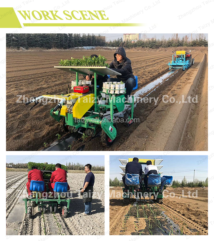 Automatic Vegetable Transplanter Machine for Easy Tomato, Cabbage