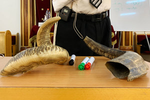 Shofar Kudu Corne de Bœuf Polie Shofar - Product Image 3