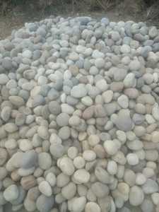 Wholesale Round Natural Pebble <b>Stones</b> Decorative <b>Paving</b> Landscaping Garden Aquarium Construction Bulk Supply - Product Image 5