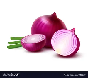 Top Selling Best Quality Indian Red Onions