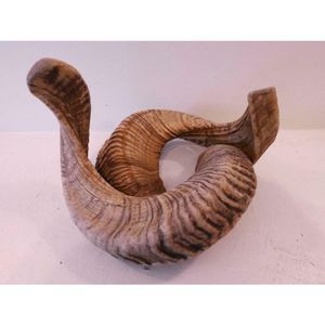 Corne de mouton de meilleure qualité, prix bon marché, décoration de la maison et corne de mouton, taille personnalisée, utilisation à la maison et au bureau - Product Image 6