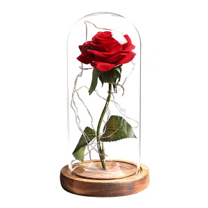 <span class=keywords><strong>Rose</strong></span> éternelle rouge BLH sous cloche en verre, inspirée de <span class=keywords><strong>la</strong></span> <span class=keywords><strong>Belle</strong></span> <span class=keywords><strong>et</strong></span> <span class=keywords><strong>la</strong></span> <span class=keywords><strong>Bête</strong></span>, cadeau pour <span class=keywords><strong>la</strong></span> remise des diplômes, <span class=keywords><strong>la</strong></span> Saint-Valentin, <span class=keywords><strong>la</strong></span> fête des mères, Noël, Thanksgiving - Product Image 1