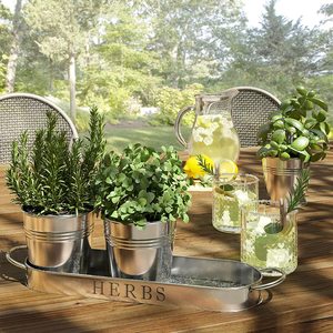 Modern Farmhouse Vintage Galvanized Metal <b>Herb</b> Plant <b>Herb</b> <b>Pot</b> Planter with Tray Customized Galvanized Tray and Planter - Product Image 5