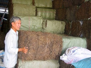 เยลลี่ดำอบแห้ง คุณภาพสูง เกรดอาหารธรรมชาติ รุ่นปี 2020 ยี่ห้อเวียดเดลต้า ผลิตในเวียดนาม - Product Image 2