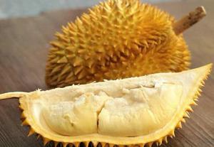 Fruta fresca de DURIAN, alta calidad, el mejor precio de Vietnam/MS ALICE - Product Image 4