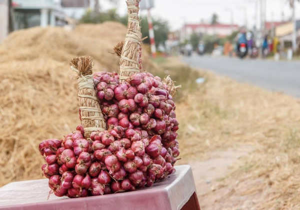 Fresh Red Onion From Vietnam High Quality Cheap Price- Whatsap 0084 989 322 607