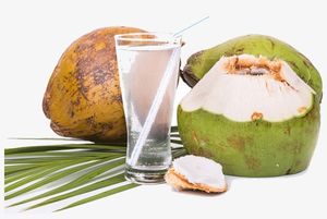 Agua de coco fresca, agua de coco de alta calidad, Ms Marie + 84 896611913 - Product Image 4