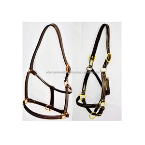 Cabestro de Cuero de Primera Calidad con Estilo de Silla Inglesa, Color y Tamaño Personalizados para Montar a Caballo - Product Image 1