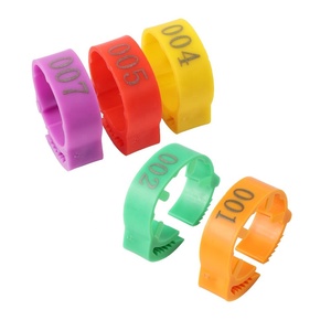 NO, Anillo <span class=keywords><strong>de</strong></span> plástico con hebilla <span class=keywords><strong>para</strong></span> patas <span class=keywords><strong>de</strong></span> <span class=keywords><strong>pollo</strong></span>, accesorio ajustable <span class=keywords><strong>para</strong></span> patas <span class=keywords><strong>de</strong></span> ganso y pato, 001-100 - Product Image 6