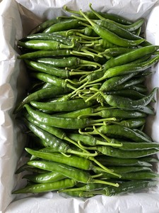 CHILE FRESCO CON CALIDAD PREMIUM/ PRECIO COMPETITIVO - Product Image 3