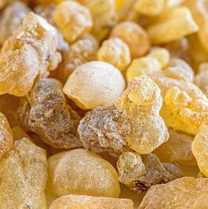 Bálsamo de Gurjun (Dipterocarpus Jourdainii) Aceite Esencial Puro Destilado al Vapor y Certificado GMP AARNAV GLOBAL EXPORTS Resina Derivada - Product Image 1