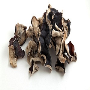 Champignon en bois séché de haute qualité du Vietnam-taille entière ou fibreux // ambre - Product Image 1