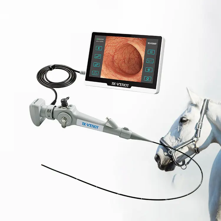 Endoskopi Equine Bronchoskop Portabel, dengan Definisi Tinggi 720P dan Panjang Kerja 1500Mm, Endoskopi Dokter Hewan