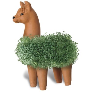 custom chia pet