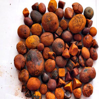 Pierres de bœuf de Bovins De Vache