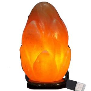 Lámpara de Sal del Himalaya Rosa 100% Pura, Forma Ecológica, Feng Shui, Tallada en Ángel, Decoración del Hogar, Tamaño Personalizable, Logotipo, Sian Enterprises - Product Image 6