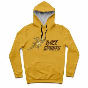 Sudadera con capucha de gran tamaño para hombre, ropa masculina de chándal de estilo hip-hop, jersey liso de talla grande, venta al por mayor - Product Image 1